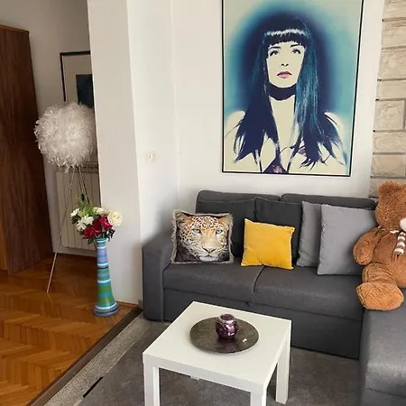 Vuica Apartment Umag
