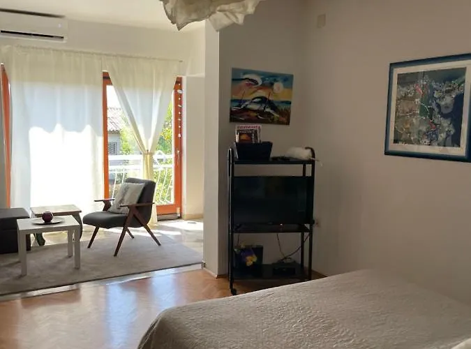 Vuica
